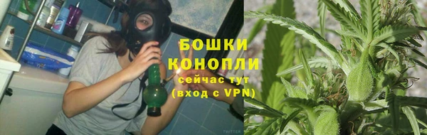 спиды Белокуриха