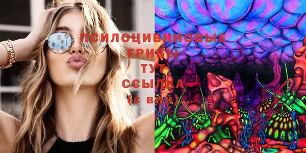 твердый Богородицк