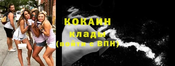 твердый Богородицк