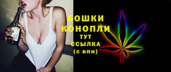 твердый Богородицк