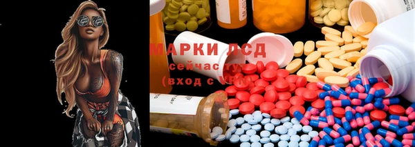 дживик Богданович