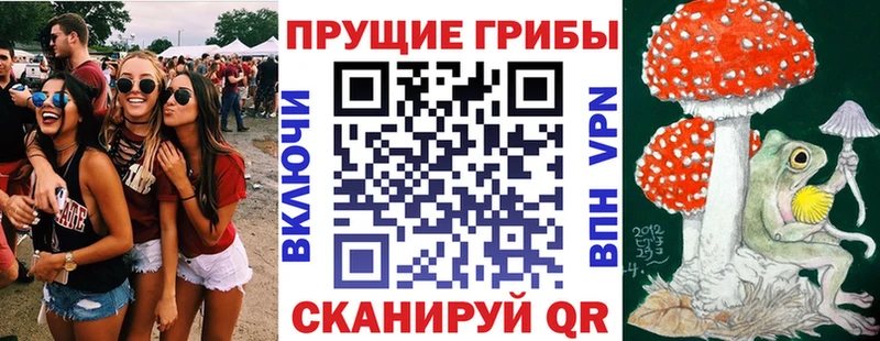 Псилоцибиновые грибы MAGIC MUSHROOMS  гидра tor  Малоярославец 