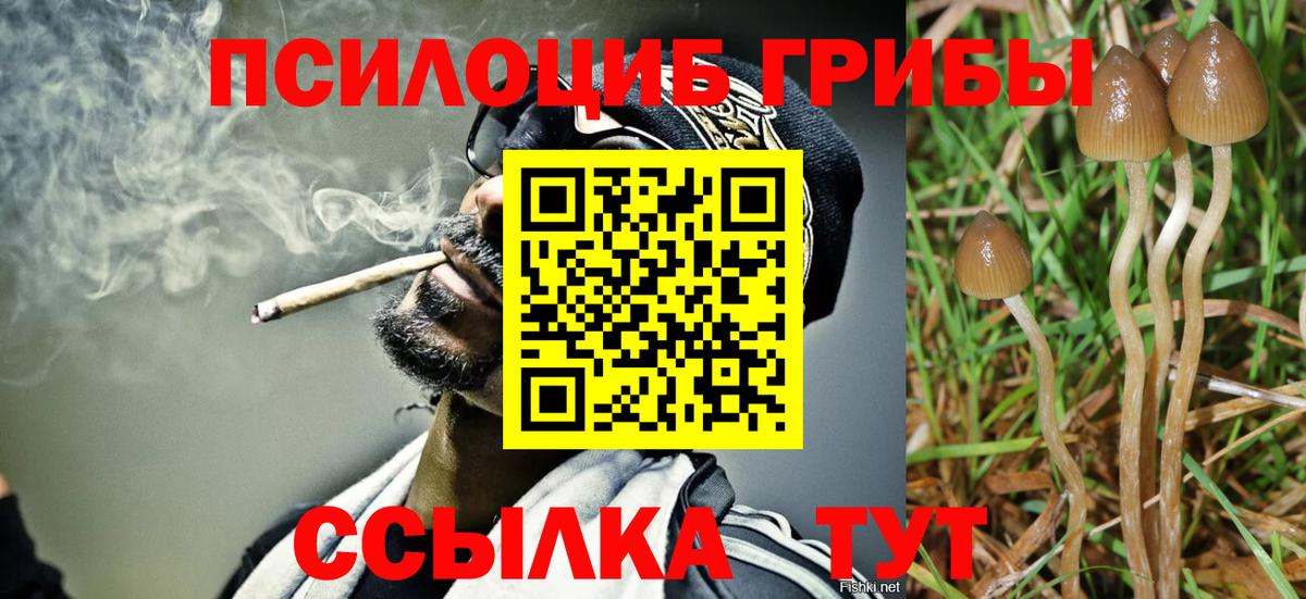Галлюциногенные грибы ЛСД Малоярославец