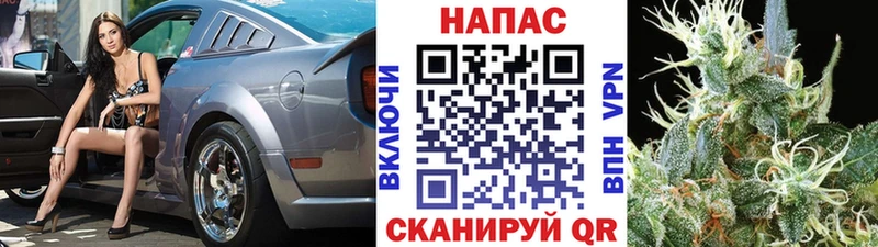 мега ссылка  Малоярославец  Бошки марихуана тримм 